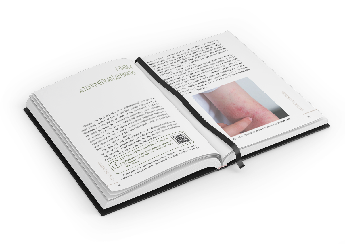 Раскрытая книга